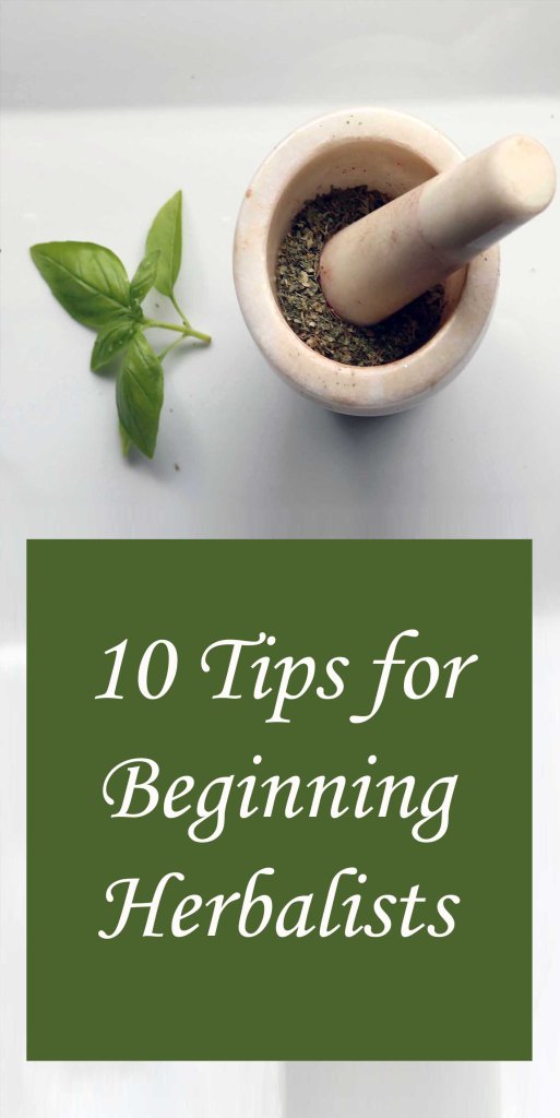 10 consejos para comenzar una práctica de herboristería