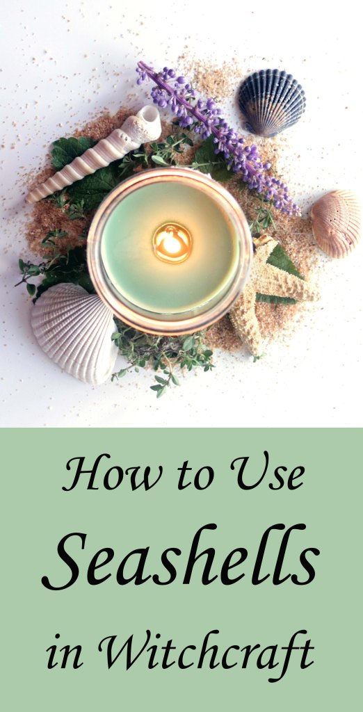 11 formas de usar conchas marinas en brujería y hechizos