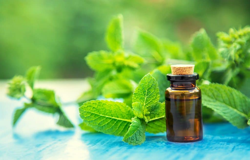 Aromaterapia para viajes: aceites esenciales para su viaje