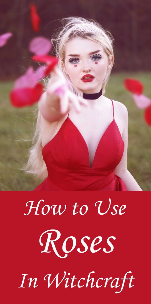 Rose Magic: 9 formas de usar rosas en la brujería