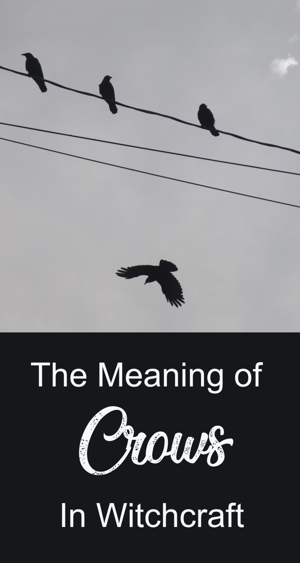 El significado de los cuervos en la brujería