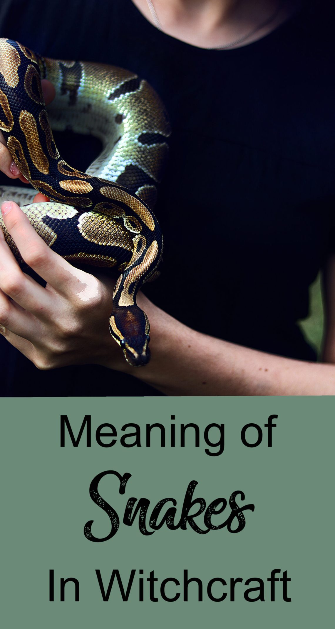 Serpiente y hechicera: significado de las serpientes en la brujería