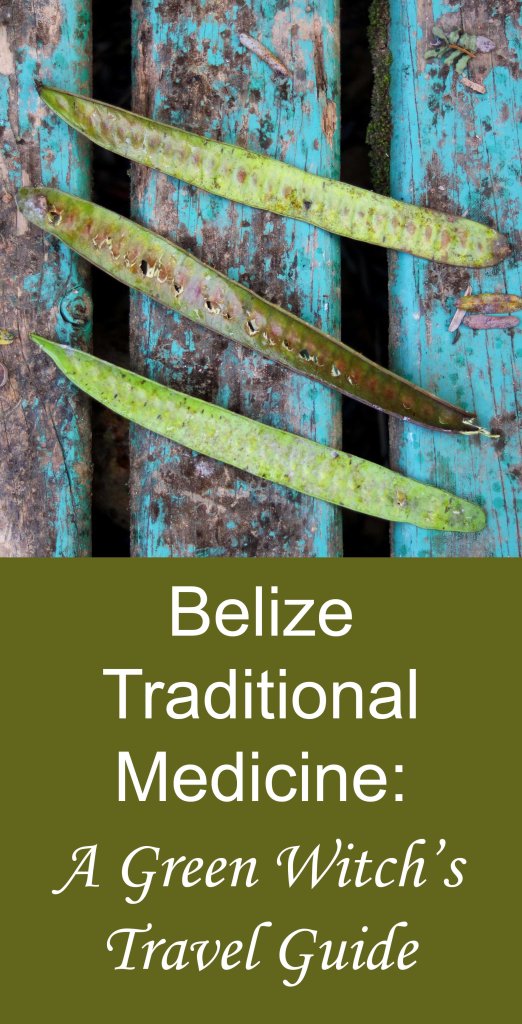 Medicina tradicional de Belice: la guía de viaje de una bruja verde