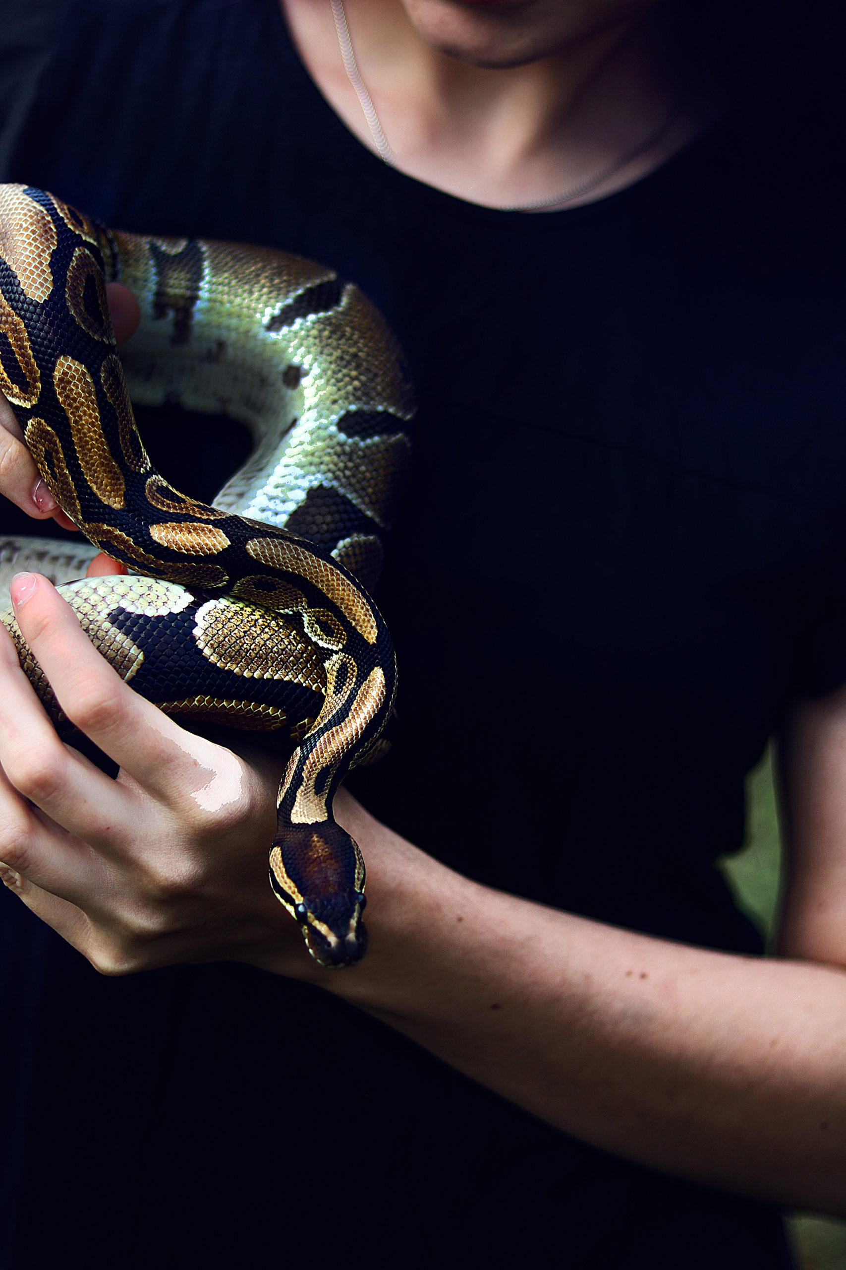 Serpiente y hechicera: significado de las serpientes en la brujería
