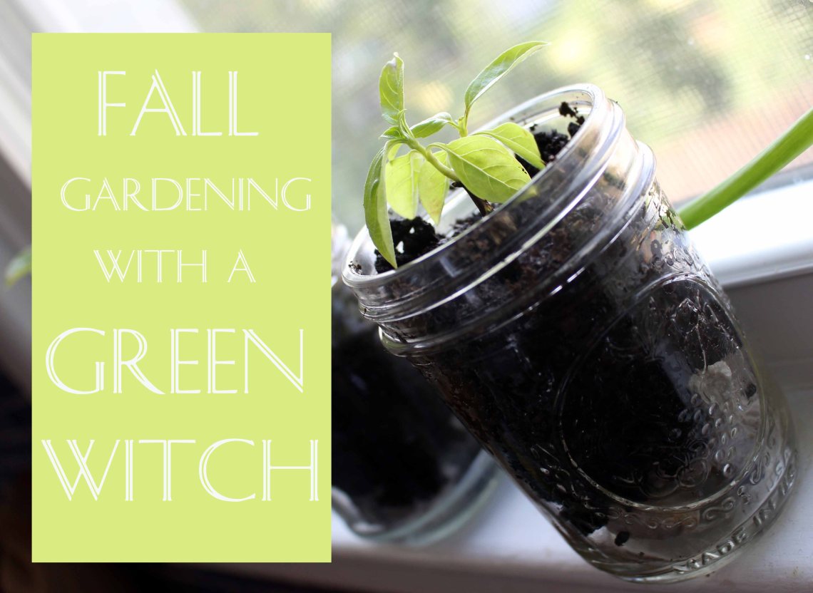 Jardinería de otoño con una bruja verde