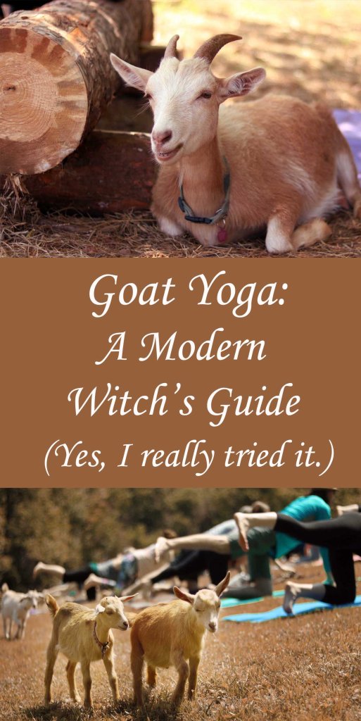Yoga de cabra: una guía de brujas moderna.