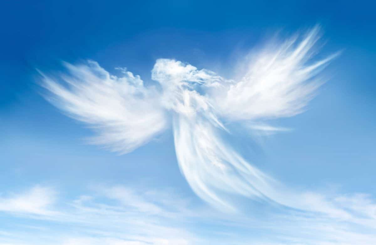 ¿Estás listo para conectarte con tus ángeles y guías espirituales?