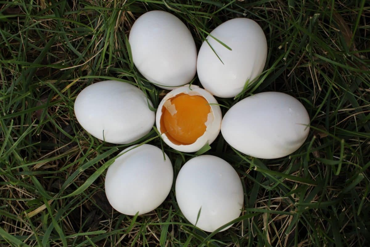 Limpieza de huevos: un enfoque tradicional para limpiar energías e influencias negativas