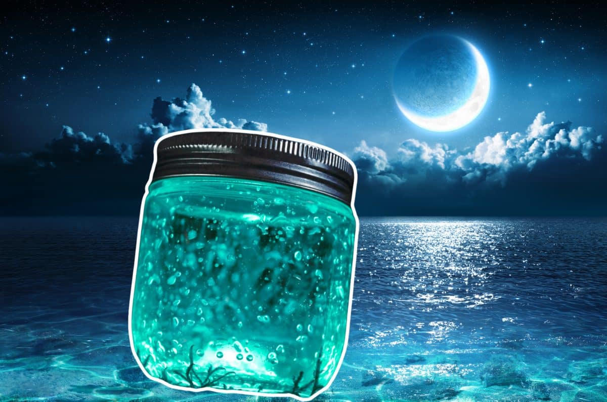 Rituales para la luna llena: cómo hacer tu propia agua de luna