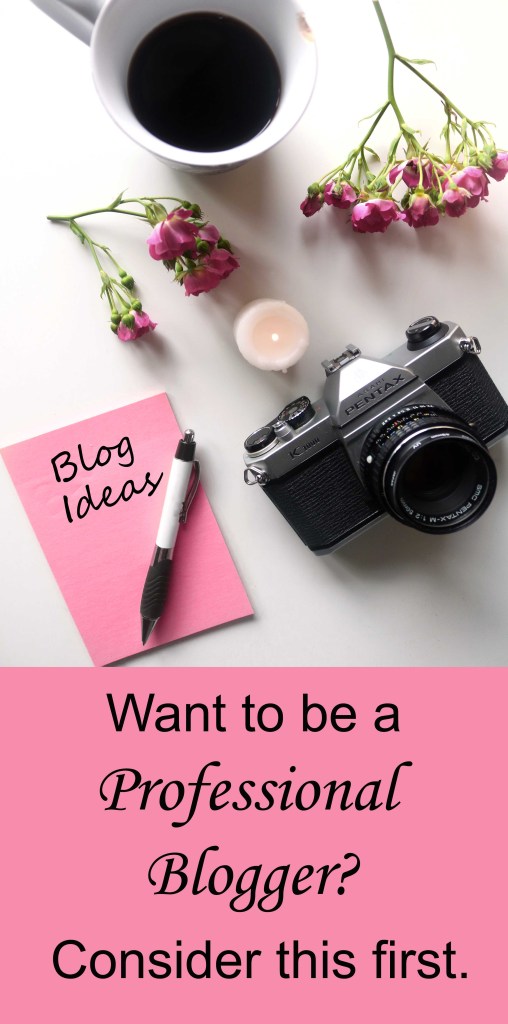¿Sueñas con ser un blogger profesional en 2021? Considere esto primero.